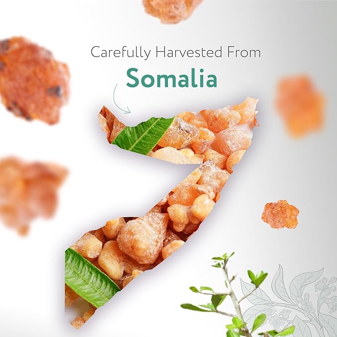 HBNO Myrrh Essential Oil - 1/3 oz (10 ml) Travel Size - Natural Myrrh Oil - Perfect for Cleaning, Aromatherapy, DIY, Soap and Diffuser - Myrrh Essential Oils