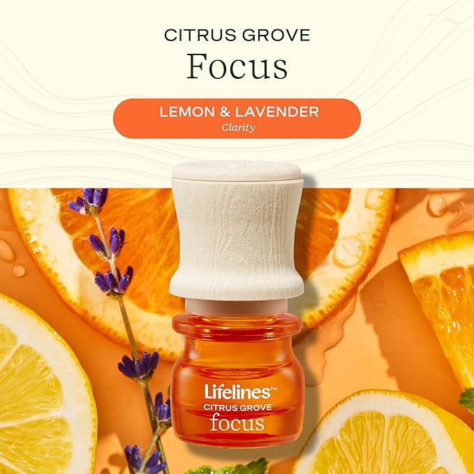 Lifelines Scent-Infused Grounding Stones, 2-Pack, Classic Pack - Portable Fidgets for Adults with Essential Oil Blend & Diffusion Stones for Sensory Immersion - Calming Waterless Passive Diffuser