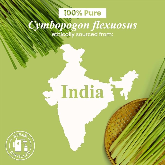 Handcraft Blends Lemongrass Essential Oil - 0.33 Fl Oz - Pack of 2-100% Pure and Natural - Premium Grade Essential Oil for Diffuser and Aromatherapy