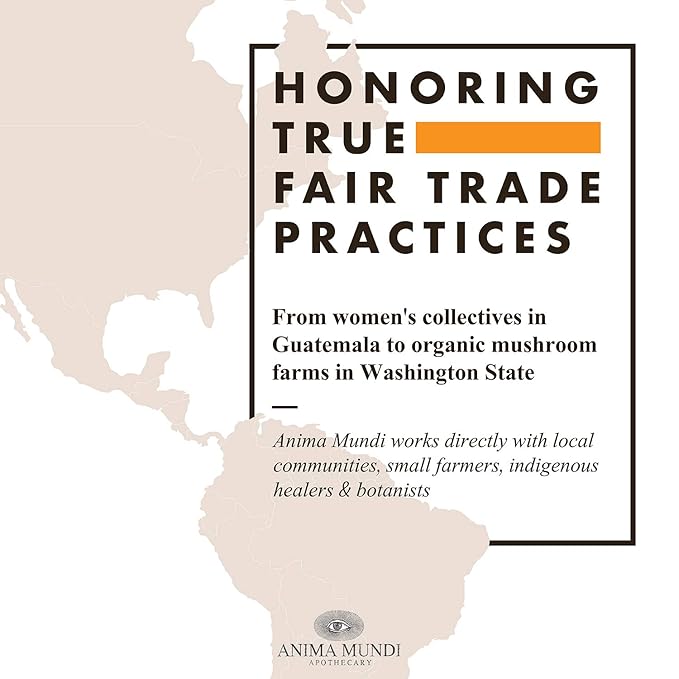 Anima Mundi Apothecary Rose Body Oil - Botanically Dense Adaptogenic Collagen Formula - Made with Organic Moringa & Jojoba Oil for Skin Rejuvenation - Rose Scented & Hydrating (4oz / 118ml)