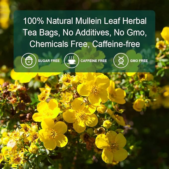 Mullein Leaf Tea Bags - Lungs Cleanse and Respiratory Support, Herbal Teas, Caffeine Free, 40 Tea Bags