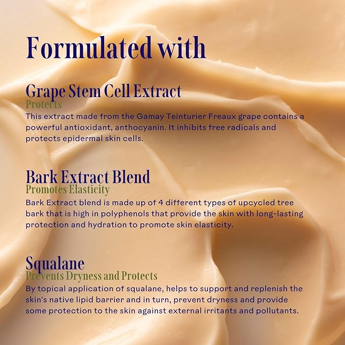 Three Ships Radiance Ultra-Hydrating Cream with Grape Stem Cell + Squalane- High in Antioxidants for Lasting Hydration, Daily Face Moisturizer (50g)