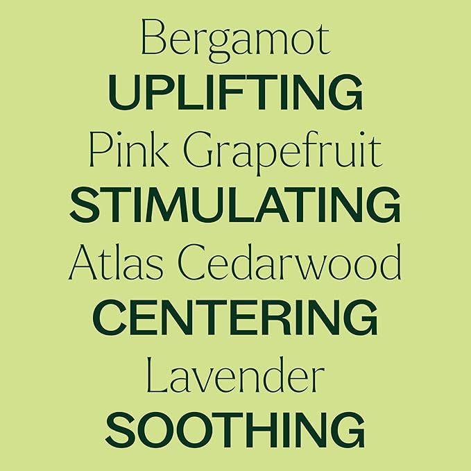 Plant Therapy KidSafe Study Time Essential Oil Blend for Focus, Mind Calming, Concentration Blend for Kids 100% Pure, Pre-Diluted Roll-On, Natural Aromatherapy, Therapeutic Grade 10 mL (1/3 oz)