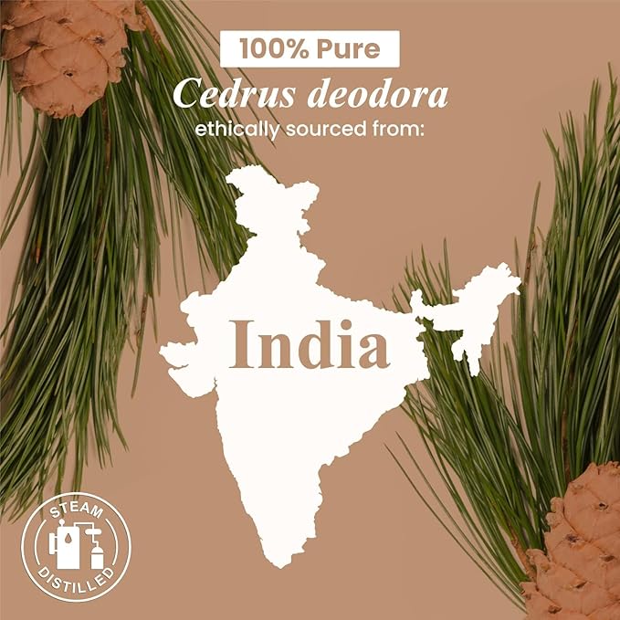 Handcraft Blends Cedarwood Essential Oil - Huge 4 Fl Oz - 100% Pure and Natural - Premium Grade Essential Oil for Diffuser and Aromatherapy