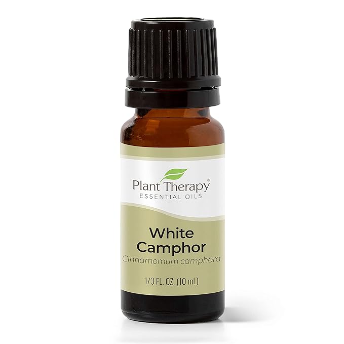 Plant Therapy White Camphor Essential Oil 10 mL (1/3 oz) 100% Pure, Undiluted, Therapeutic Grade
