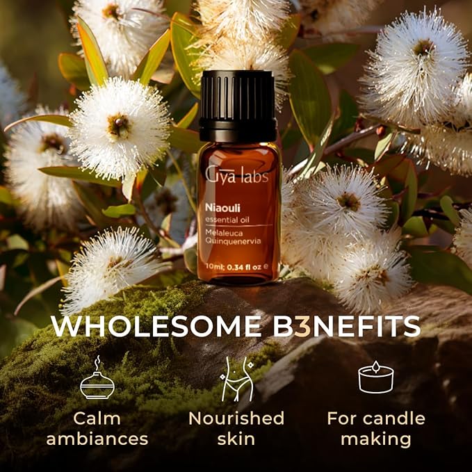 Gya Labs Niaouli Essential Oil for Diffuser - 0.34 Fl Oz - 100% Pure Natural Niaouli Oil for Skin, Aromatherapy Candle Making - Fresh Earthy & Camphorous Scent