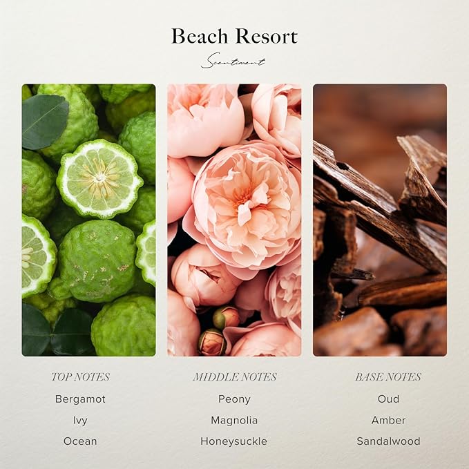 Beach Resort Hotel Diffuser Oil | Aromatherapy Fragrance Inspired by 5-Star Hotels | Luxurious Scent with Notes of Bergamot, Ocean, Peony with Amber & Sandalwood (120 mL)