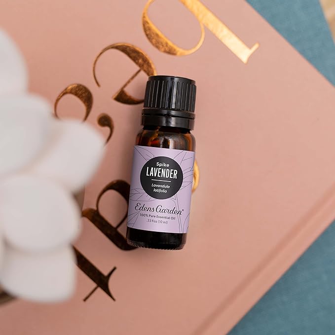 Edens Garden Lavender- Spike Essential Oil- 100% Pure Premium Grade, Undiluted, Natural, Therapeutic, Aromatherapy, The Best for Diffuser, Candle, Laundry, Humidifiers 10 ml (.33 fl oz)