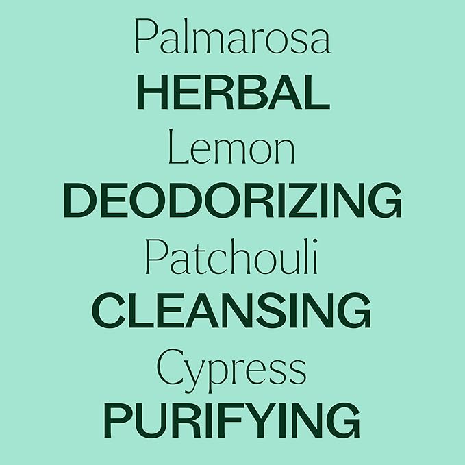 Plant Therapy Deodorizing Essential Oil Blend 10 mL (1/3 oz) 100% Pure, Undiluted, Therapeutic Grade