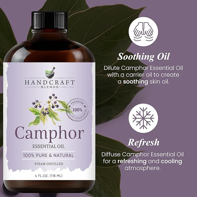 Handcraft Blends Camphor Essential Oil - Huge 4 Fl Oz - 100% Pure and Natural - Premium Grade Essential Oil for Diffuser and Aromatherapy