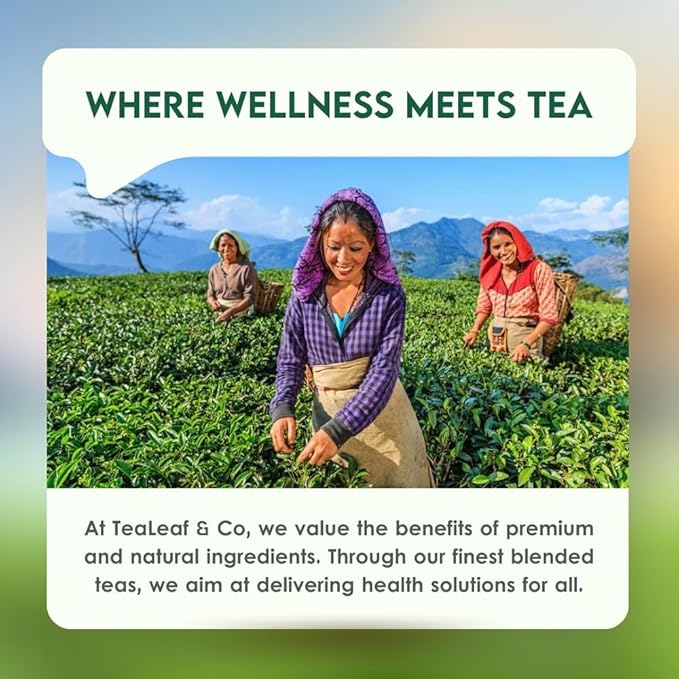 Mint Green Tea Bags (50 Count), Green Tea with Peppermint & Spearmint, Caffeinated, Real and Natural Green Tea, Blended with Fresh Herbs and Spices, Gluten Free