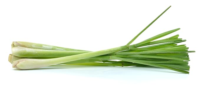 US Organic 100% Pure Lemongrass Essential Oil, USDA Certified Organic, Extracted by Steam Distillation Method, for Hair, Nail Polish Remover, Bees Attraction, and More. 15 ml, Value 2 Pack