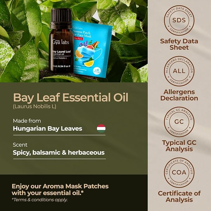 Gya Labs Bay Leaf Essential Oil for Diffuser - 0.34 Fl Oz - 100% Natura Bay Laurel Oil for Hair, Candle Making - Spicy, Herbaceous Scent
