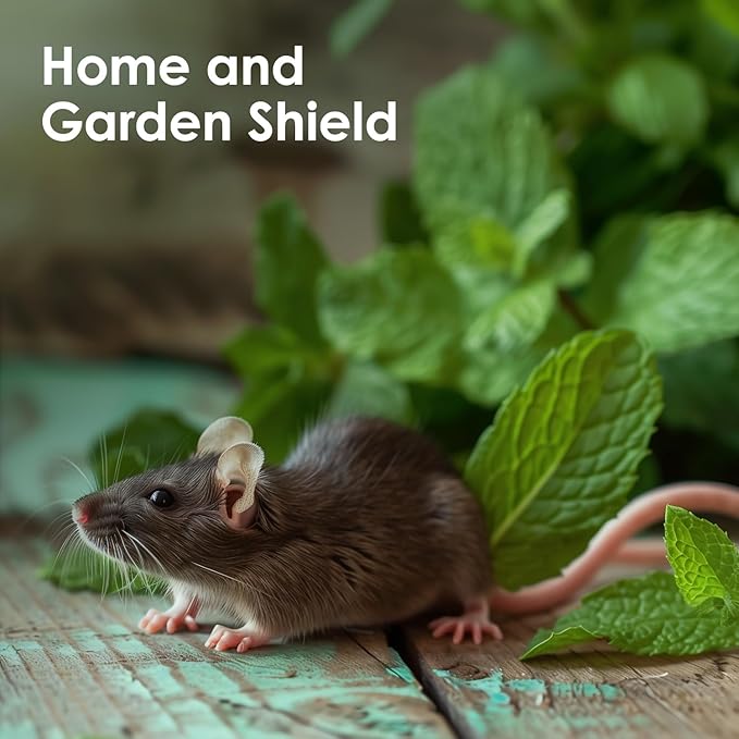 Peppermint Essential Oil (16 OZ Bulk) – Natural Sweet Mint Aroma – Peppermint Aromatherapy Oil