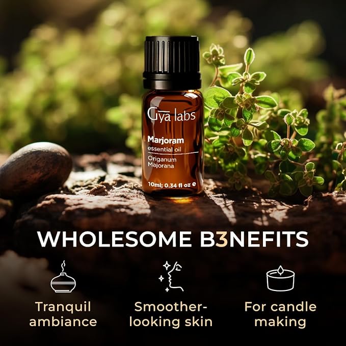 Gya Labs Marjoram Essential Oil for Diffuser - 0.34 Fl Oz - 100% Pure Natural Marjoram Oil for Skincare, Aromatherapy & Candles Making DIY, Massages - Sweet Minty Scent