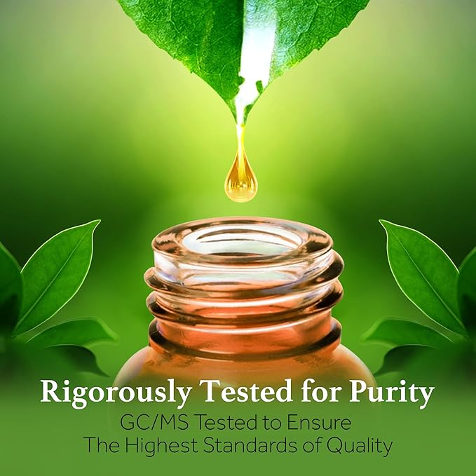 Sherpa Botanicals French Basil Essential Oil - 100% Pure & Natural Oils - Ideal for Diffuser Blends, Aromatherapy, Home Fragrance - Herbaceous Aroma for Home & Wellness - Vegan, Paraben-Free, 15mL