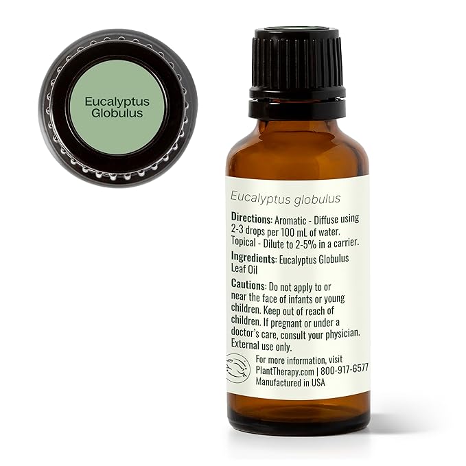 Plant Therapy Eucalyptus Globulus Essential Oil 30 mL (1 oz) for Diffuser, Skin, Hair, Aromatherapy DIYs, and Clear Breathing, 100% Pure, Undiluted, Therapeutic Grade