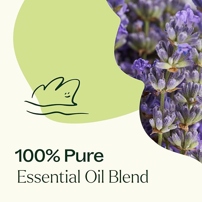 Plant Therapy Blissful Dreams Essential Oil Blend, For Relaxation While Supporting Quality Rest, Grounding and Soothing, Lovely Bedtime Aroma, 10 mL (1/3 oz) 100% Pure, Undiluted, Natural Aromatherapy