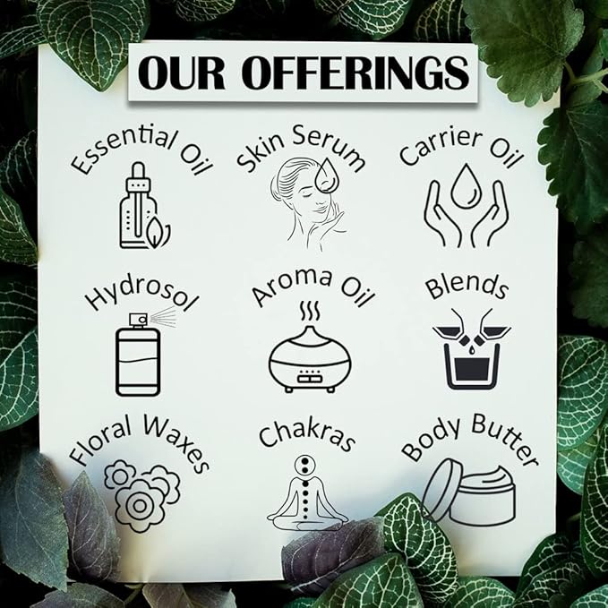 Pure Cananga Java Essential Oil (Cananga odorata) Steam Distilled 30ml (1.01 oz)