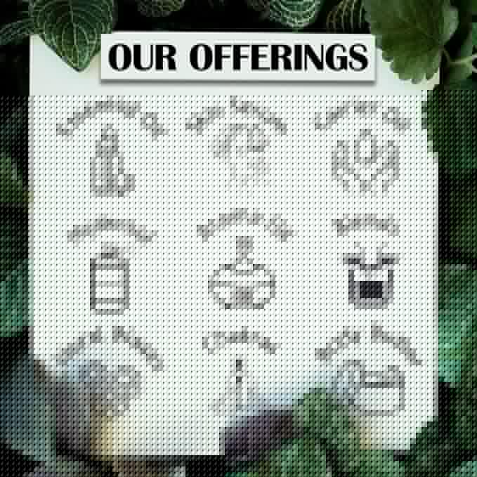 Deve Herbes Pure Bay Essential Oil (Pimenta racemosa) with Glass Dropper Steam Distilled 15ml (0.50 oz)