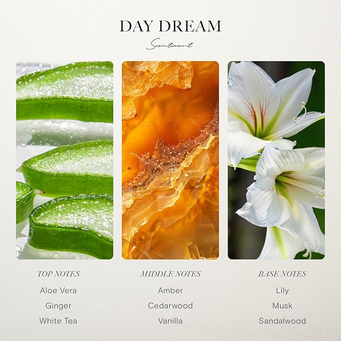 Day Dream Hotel Diffuser Oil | Inspired by Westin® Hotels' Lobby Scent | Aromatherapy Home Fragrance| Luxurious Scent with Notes of Aloe Vera, Cedar, White Tea (120 mL)
