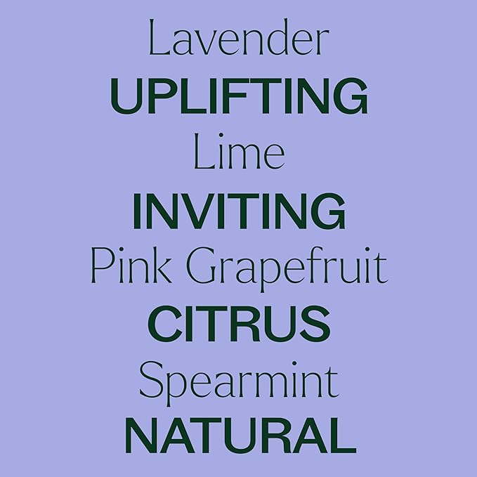 Plant Therapy Sparkling Lavender Laundry Essential Oil Blend 10 mL (1/3 oz) Pure, Undiluted, Wash Fragrance and Scent Enhancer