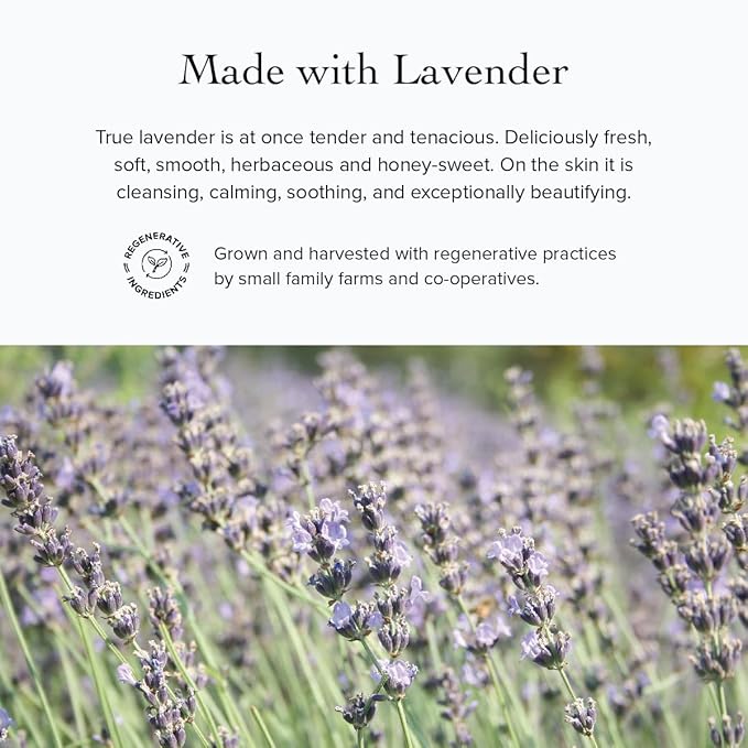 evanhealy Blue Lavender Cleansing Milk | Soothe & Calm Reactive Skin | Moisturizing Gentle Deep Clean For Sensitive Skin