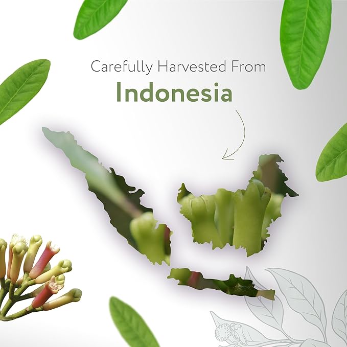 HBNO California Bottled Clove Leaf Essential Oil 4 fl oz (120ml) Value Size - Natural Oil for Cleaning, Aromatherapy, DIY, Soap & Diffuser