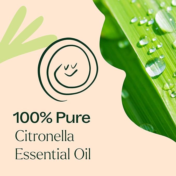 Plant Therapy Citronella Essential Oil 10 mL (1/3 oz) 100% Pure, Undiluted, Citronella Oil for Aromatherapy, Diffuser, Candle Making, Skin Care, Outdoors, Therapeutic Grade