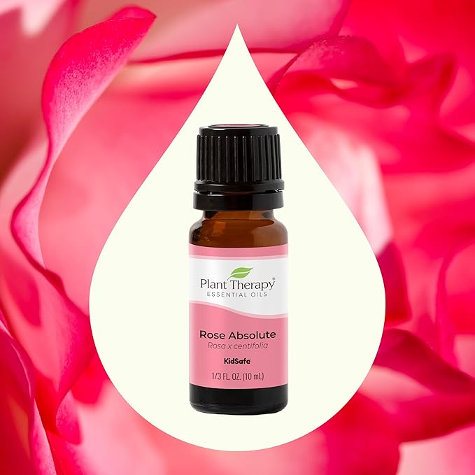 Plant Therapy Rose Absolute Essential Oil 100% Pure, Undiluted, Natural Aromatherapy, Therapeutic Grade 10 mL (1/3 oz)