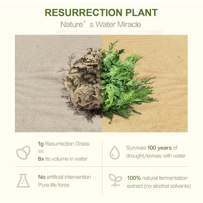 Korean Hyaluronic Acid Sheet Mask (15 sheets) | Resurrection Plant | Strengthen the skin barrier | Anti-Aging Mask | Reduce Fine Lines & Wrinkles, Smooths & Repairs | Korean SkinCare