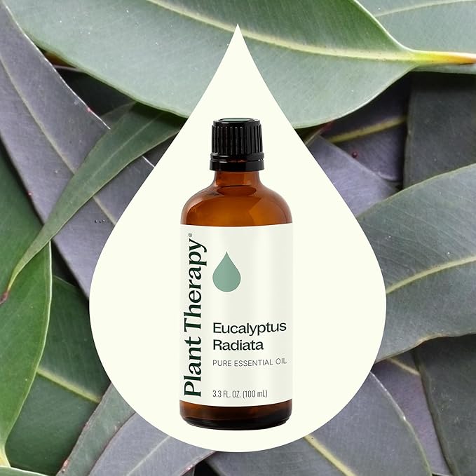 Plant Therapy Eucalyptus Radiata Essential Oil 100 mL (3.3 oz) 100% Pure, Undiluted, Therapeutic Grade
