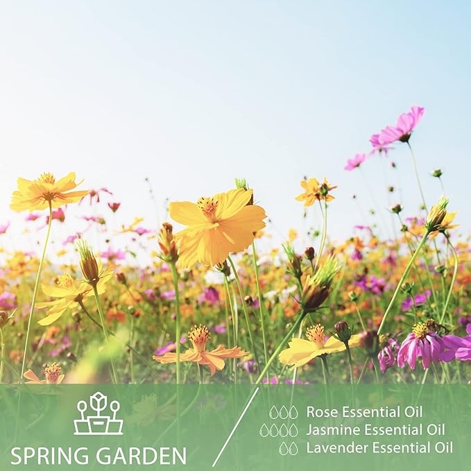 3.38FL.OZ Rose Essential Oil with Glass Dropper, for Aromatherapy Diffusers, Humidifiers, Great for DIY Candle and Soap Making, Huge 100ML Bottle