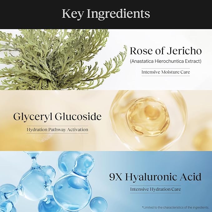 Rose of Jericho Hydration Cotton Mask, Moisturizing, Vegan, Korean Skin Care Face Mask 25g*5 sheets