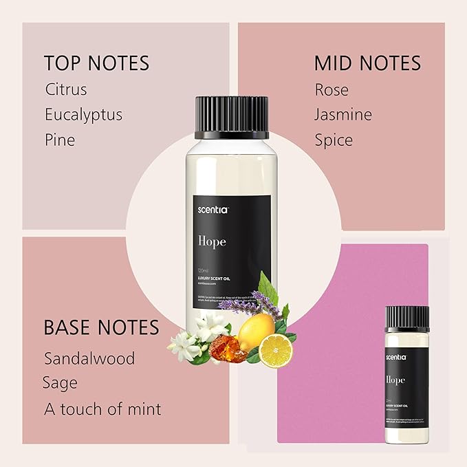 Designer Perfume Dupe Diffuser Oil 3X20ml | Inspired by Iconic Perfumes| Essential Oil Blend for Aromatherapy waterless diffusers & Humidifiers |Notes of Sandalwood, Rose, Lavender, Jasmine