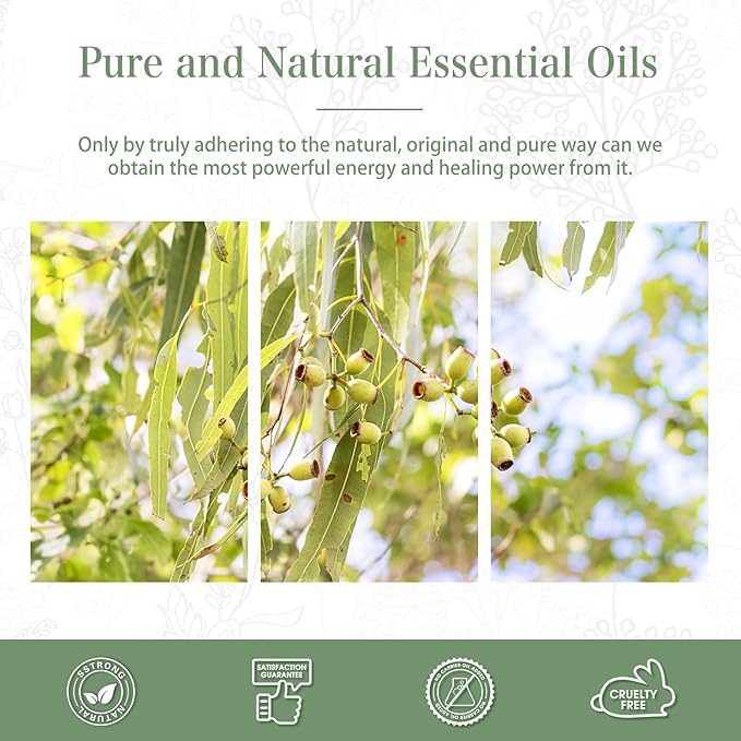 Lemon Eucalyptus 3.38fl.oz Essential Oil, PHATOIL Aromatherapy Essential Oils for Diffuser, Humidifier, Perfect for DIY Soap, Candle, Bath Bombs Making(100ml)