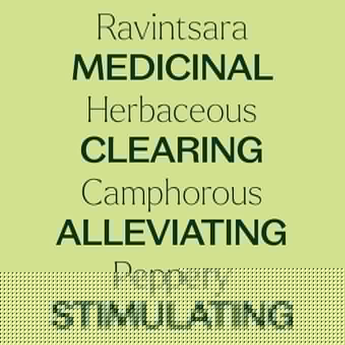 Plant Therapy Ravintsara Essential Oil 10 mL (1/3 oz) 100% Pure, Undiluted, Therapeutic Grade