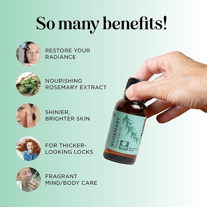 Maple Holistics Rosemary Essential Oil - Pure for Aromatherapy, Hair, Skin and Nails - Refreshing for Diffusers, Dry Scalp Treatment