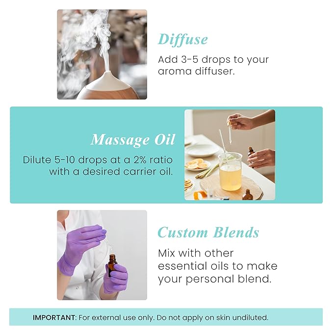 Handcraft Blends Spearmint Essential Oil - 1 Fl Oz - 100% Pure and Natural - Premium Grade Essential Oil for Diffuser and Aromatherapy