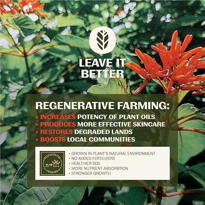 Thrive SPF30 Protect, Restore & Tone Superplant Skin Care Set - Gift Set with Mineral SPF30 Sunscreen, Recovery Serum, Spot On Serum - Vegan, Made in USA