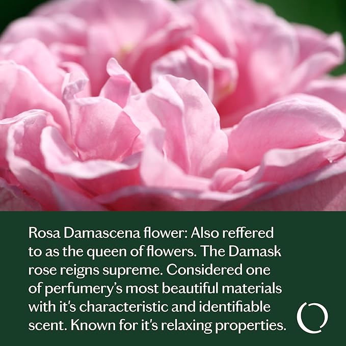 LIVEDROPS 24/7 Confident Essential Oil Blend - Crafted in France - Rose Damascena, Pink Pepper & Blackcurrant Bud Oil. Pure & Natural - Apply Directly on Skin or in Diffuser - Clinically Tested