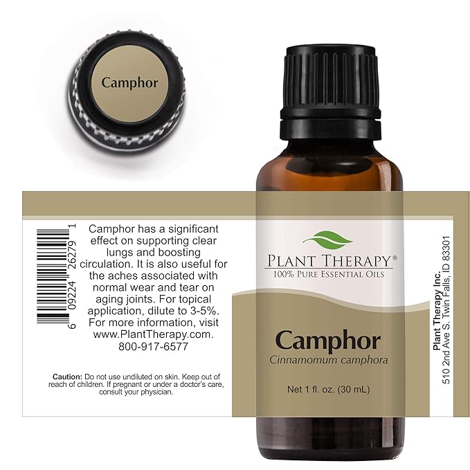 Plant Therapy White Camphor Essential Oil 30 mL (1 oz) 100% Pure, Undiluted, Therapeutic Grade