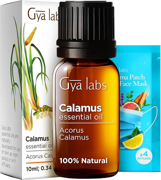 Gya Labs Calamus Essential Oil for Hair - 0.34 Fl Oz - 100% Pure Natural Calamus Oil for Diffuser, Skin, Aromatherapy, Candle Making & Massages - Earthy, Woody, Spicy Scent