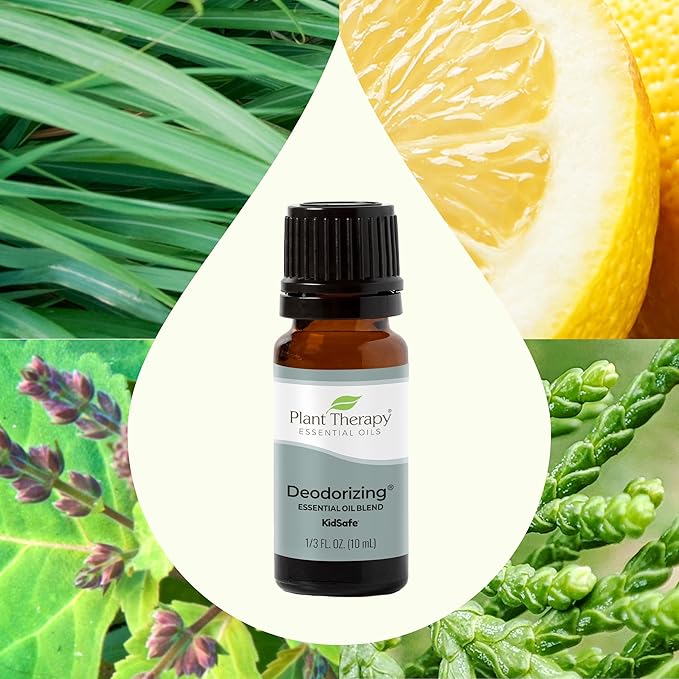 Plant Therapy Deodorizing Essential Oil Blend 10 mL (1/3 oz) 100% Pure, Undiluted, Therapeutic Grade