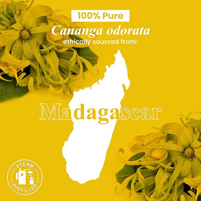 Handcraft Blends Ylang Ylang Essential Oil - 1 Fl Oz - 100% Pure and Natural - Premium Grade Essential Oil for Diffuser and Aromatherapy