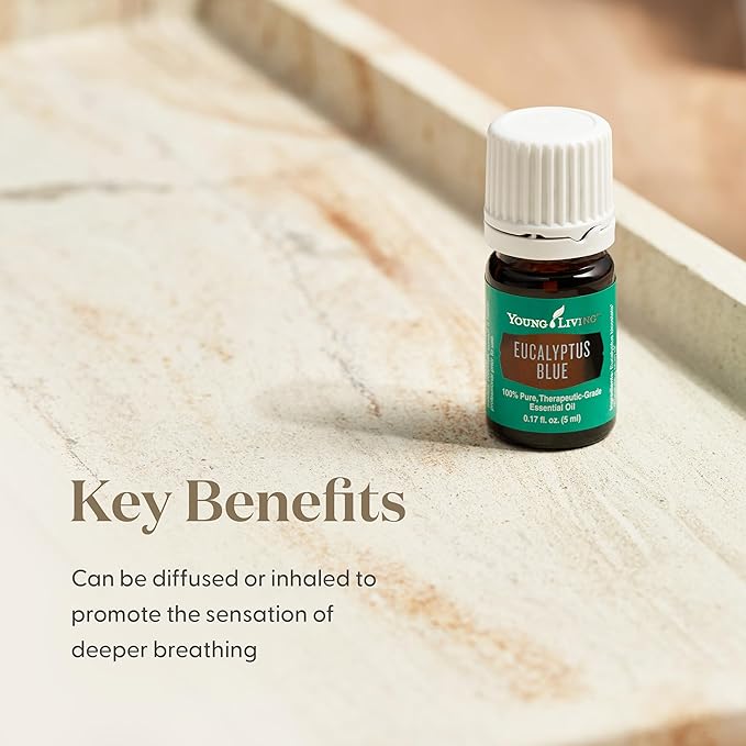 Young Living Eucalyptus Blue Premium Essential Oil Diffuser - 100% Pure, Cool & Refreshing Scent - Aromatherapy for Relaxation and Muscle Relief - 5ml Bottle