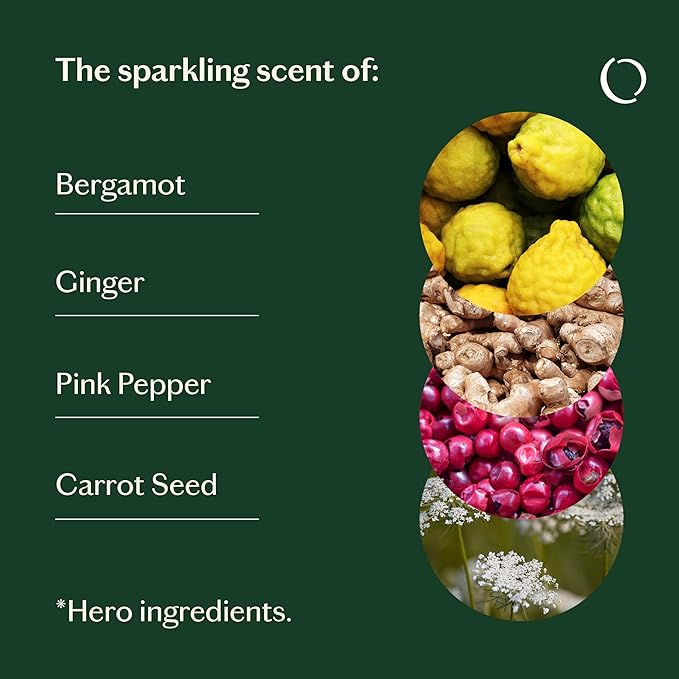 Livedrops 24/7 Energized Essential Oil Blend, Bergamot, Ginger, Pink Pepper Natural Aromatherapy for Energy & Focus Skin-Safe & Diffuser-Ready Clinically Tested Crafted in France