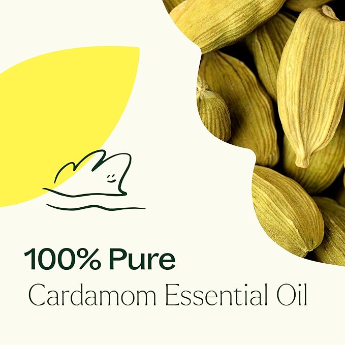 Plant Therapy Cardamom Essential Oil 10 mL (1/3 oz) 100% Pure, Undiluted, Therapeutic Grade