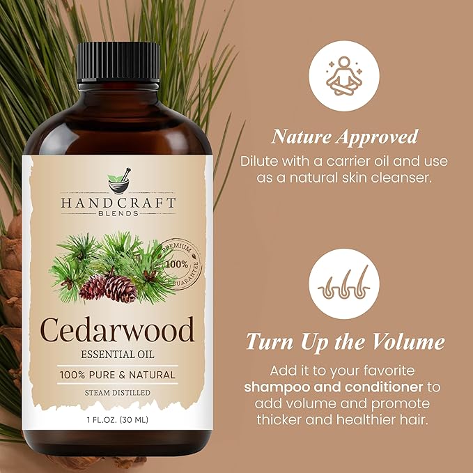 Handcraft Blends Cedarwood Essential Oil - 1 Fl Oz - 100% Pure and Natural - Premium Grade Essential Oil for Diffuser and Aromatherapy