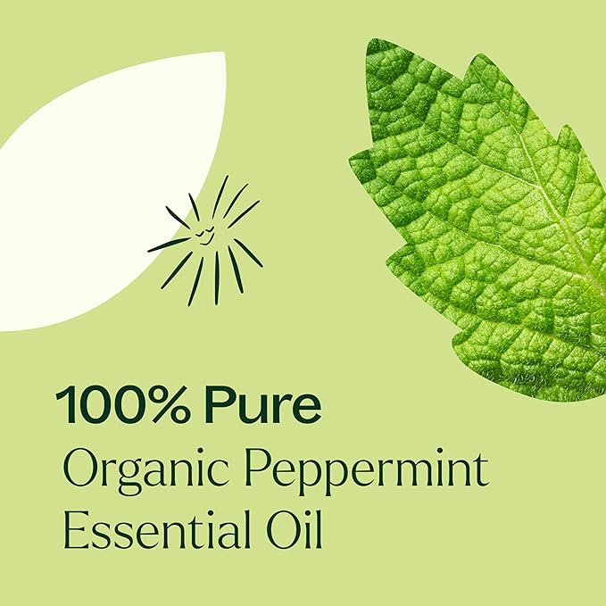 Plant Therapy Organic Peppermint Essential Oil 100% Pure, USDA Certified Organic, Undiluted, Natural Aromatherapy, for Diffusion, Skin, Hair, Therapeutic Grade 100 mL (3.3 oz)